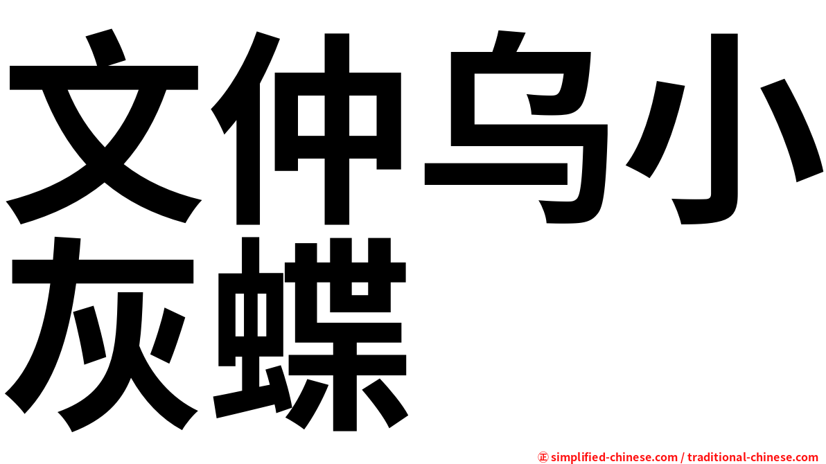 文仲乌小灰蝶