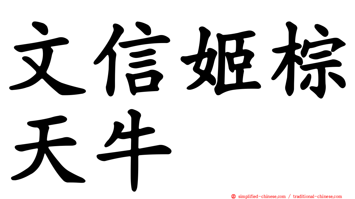 文信姬棕天牛
