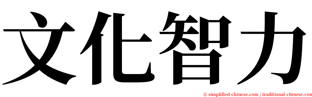 文化智力 serif font
