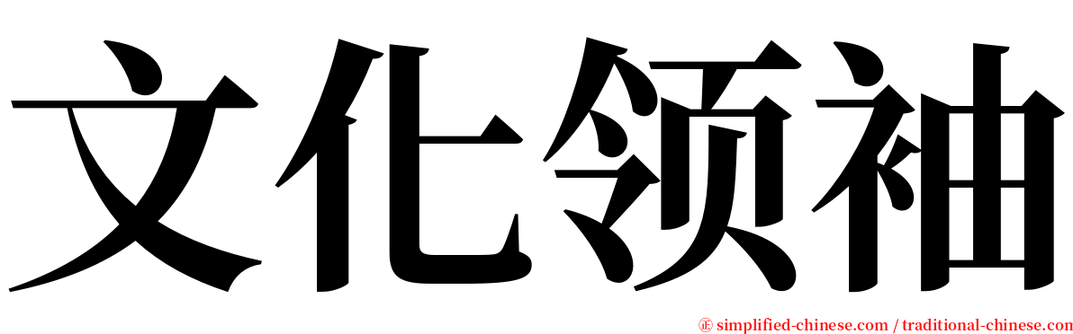 文化领袖 serif font
