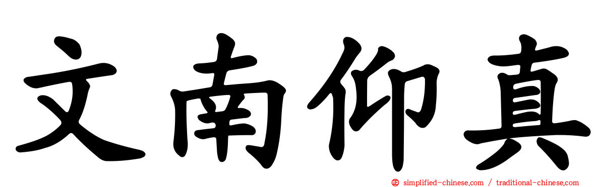 文南仰真