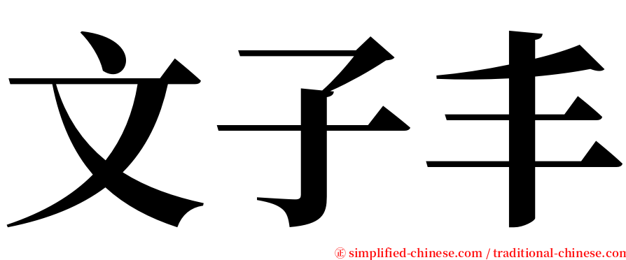 文子丰 serif font