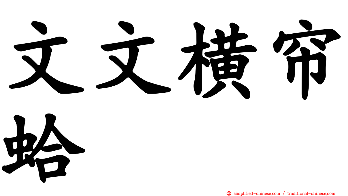 文文横帘蛤