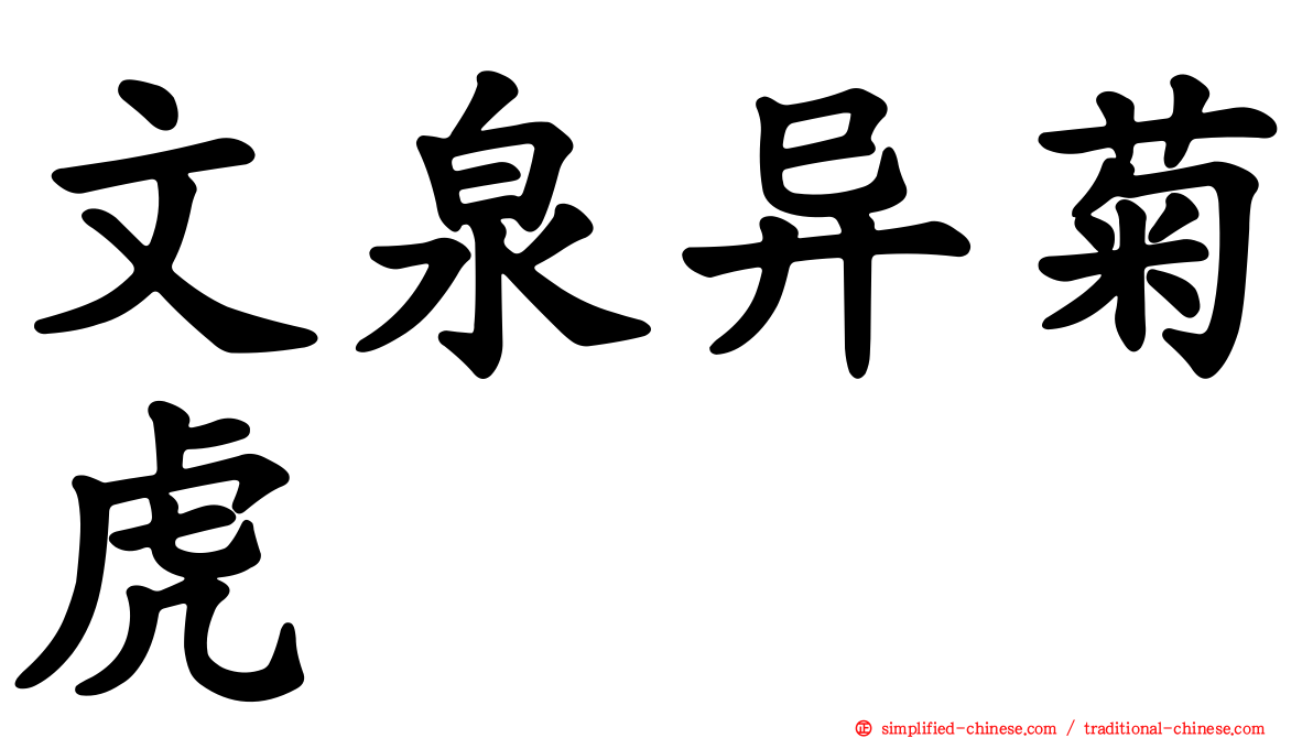 文泉异菊虎