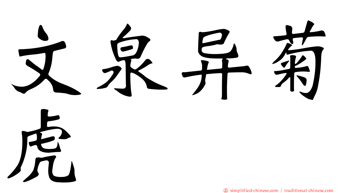 文泉异菊虎