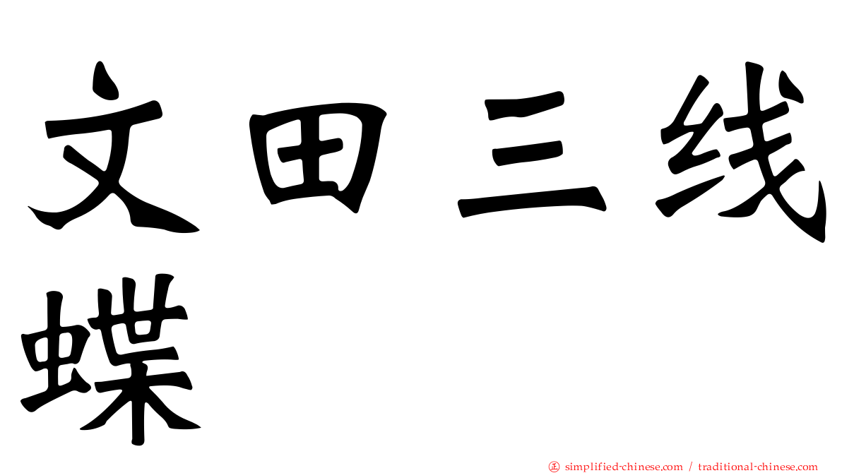 文田三线蝶