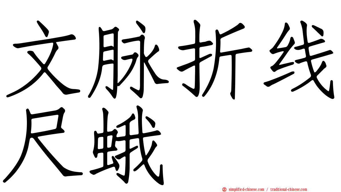 文脉折线尺蛾