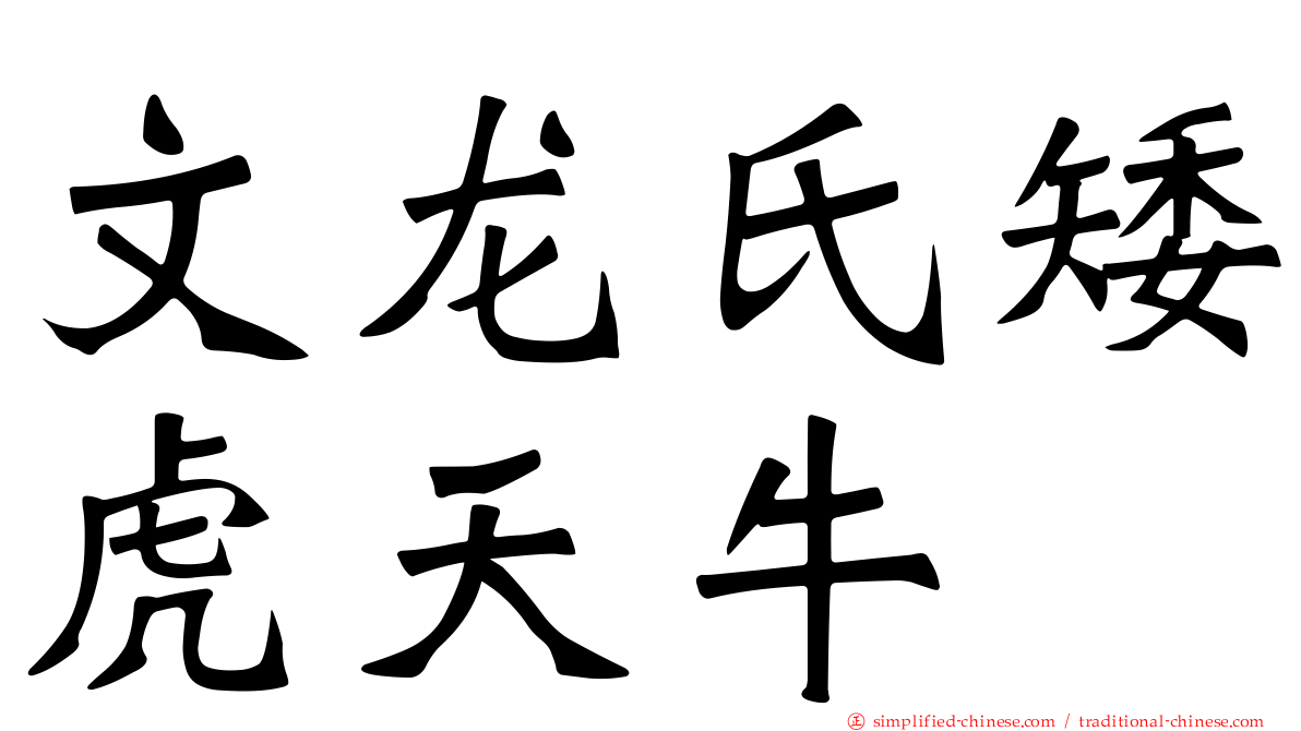 文龙氏矮虎天牛