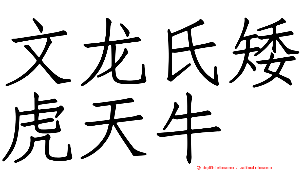 文龙氏矮虎天牛