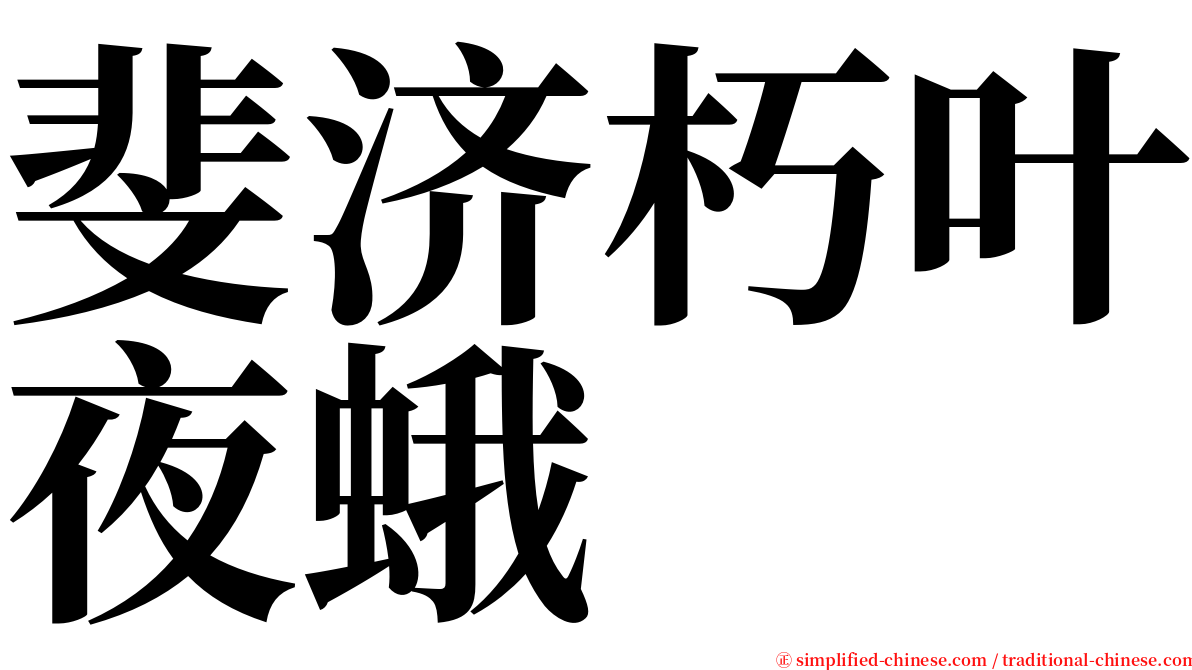 斐济朽叶夜蛾 serif font