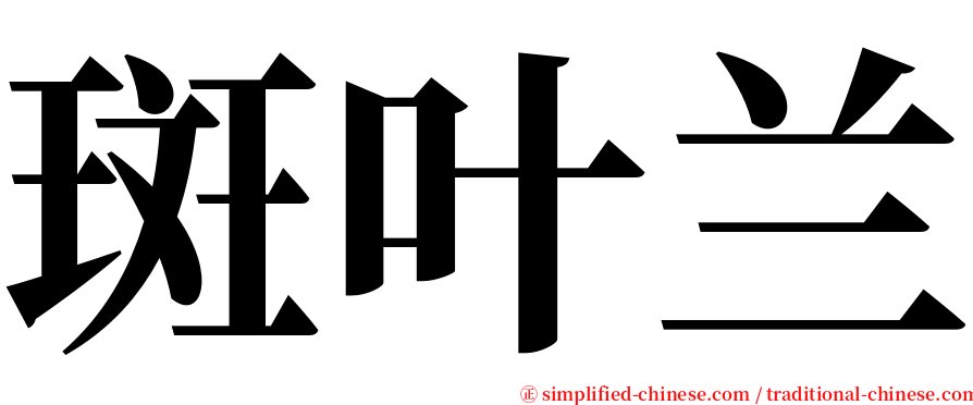 斑叶兰 serif font