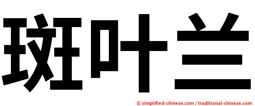 斑叶兰