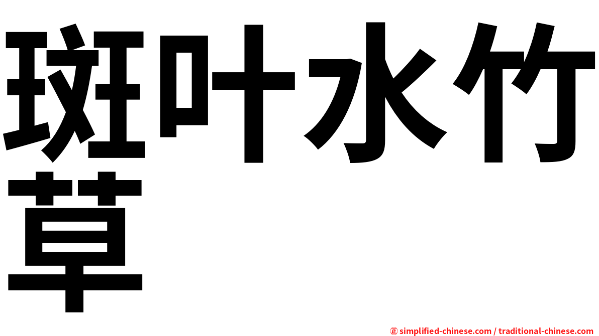 斑叶水竹草