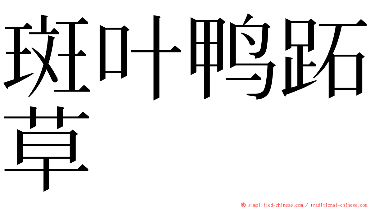 斑叶鸭跖草 ming font