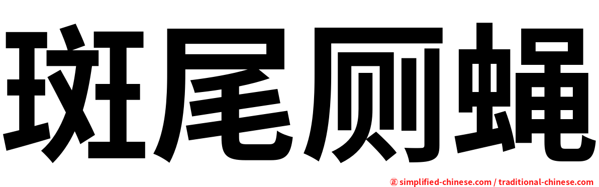 斑尾厕蝇