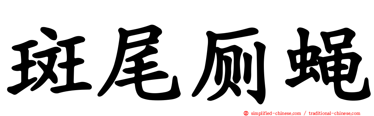 斑尾厕蝇