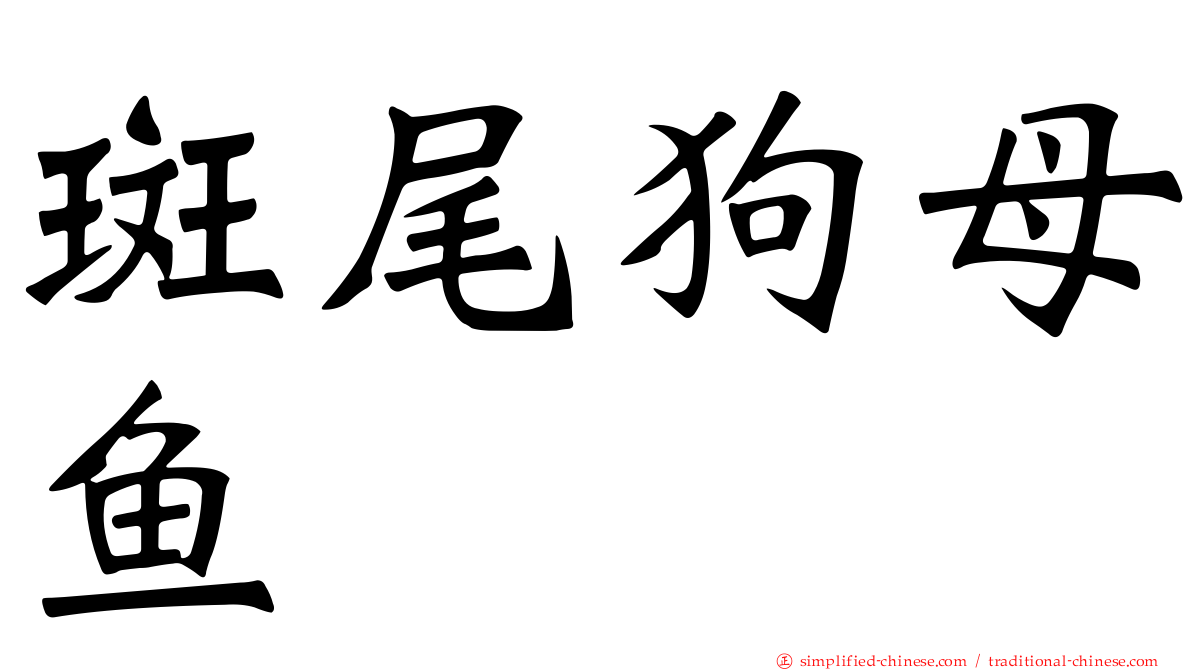 斑尾狗母鱼