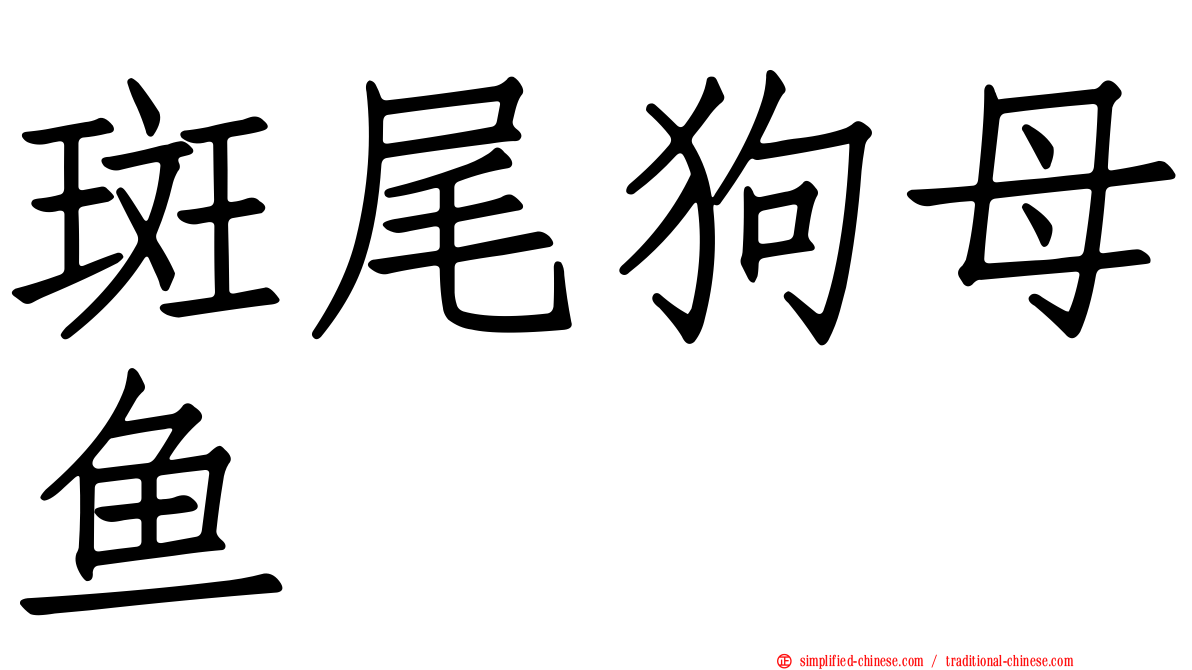斑尾狗母鱼