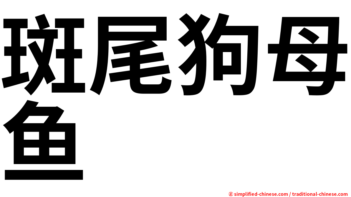 斑尾狗母鱼