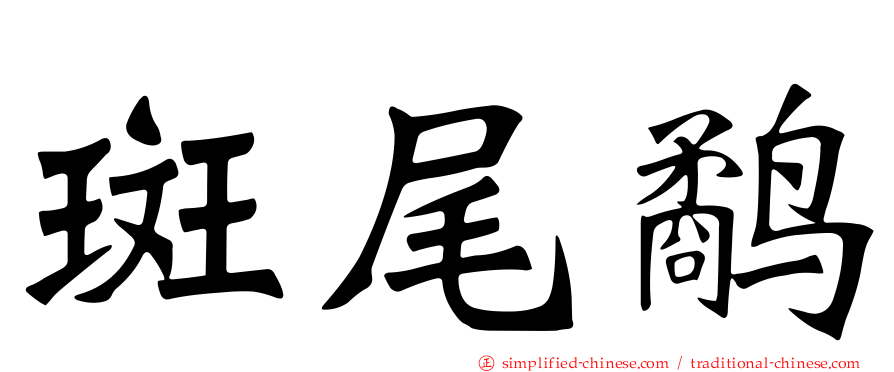 斑尾鹬