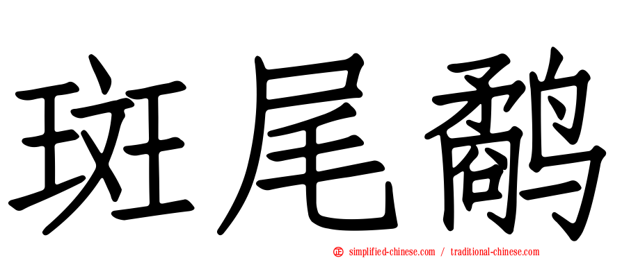 斑尾鹬