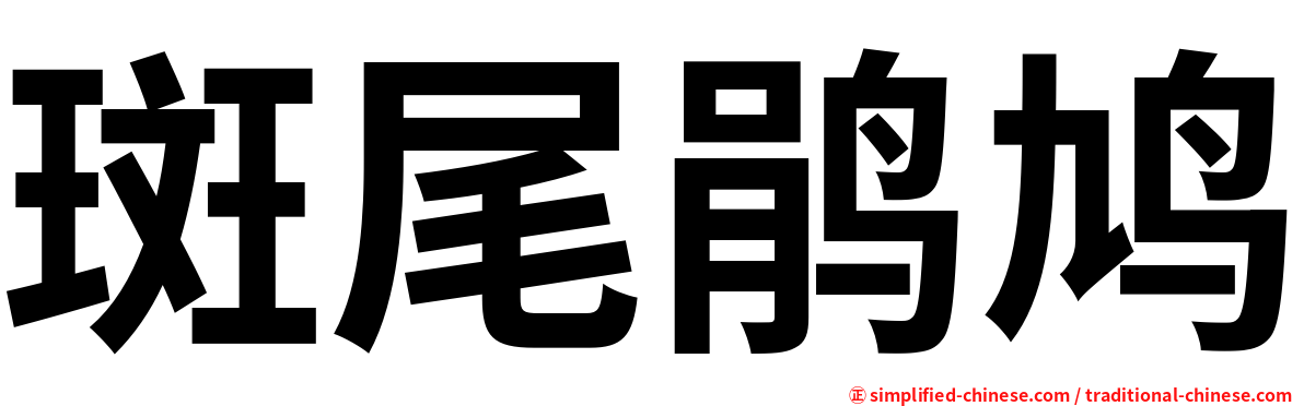 斑尾鹃鸠