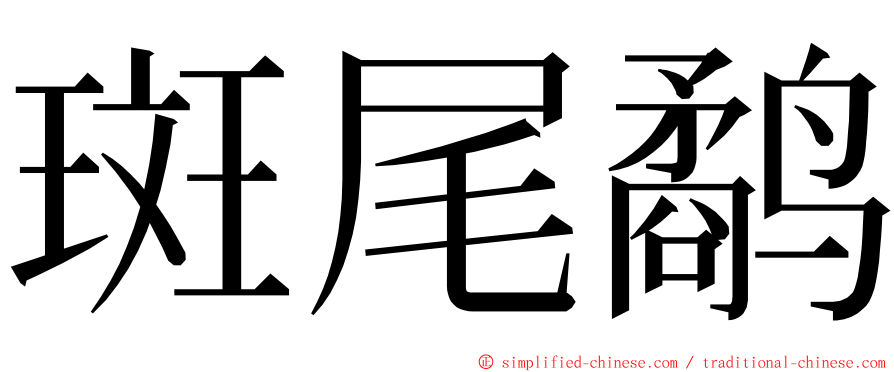 斑尾鹬 ming font