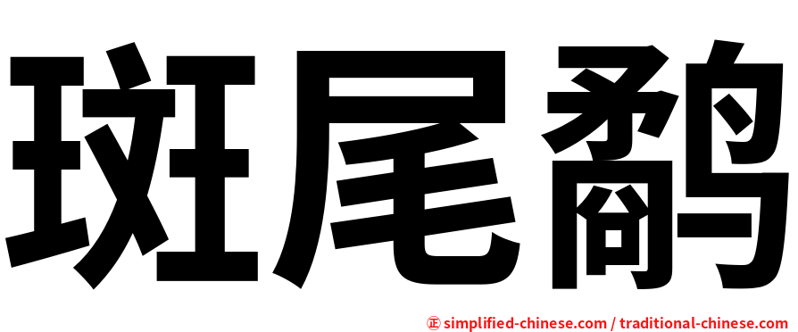 斑尾鹬