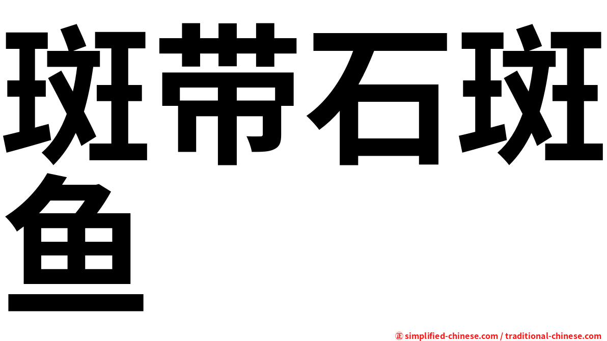 斑带石斑鱼
