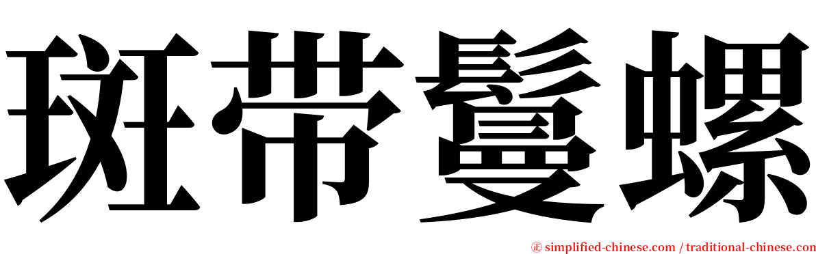 斑带鬘螺 serif font