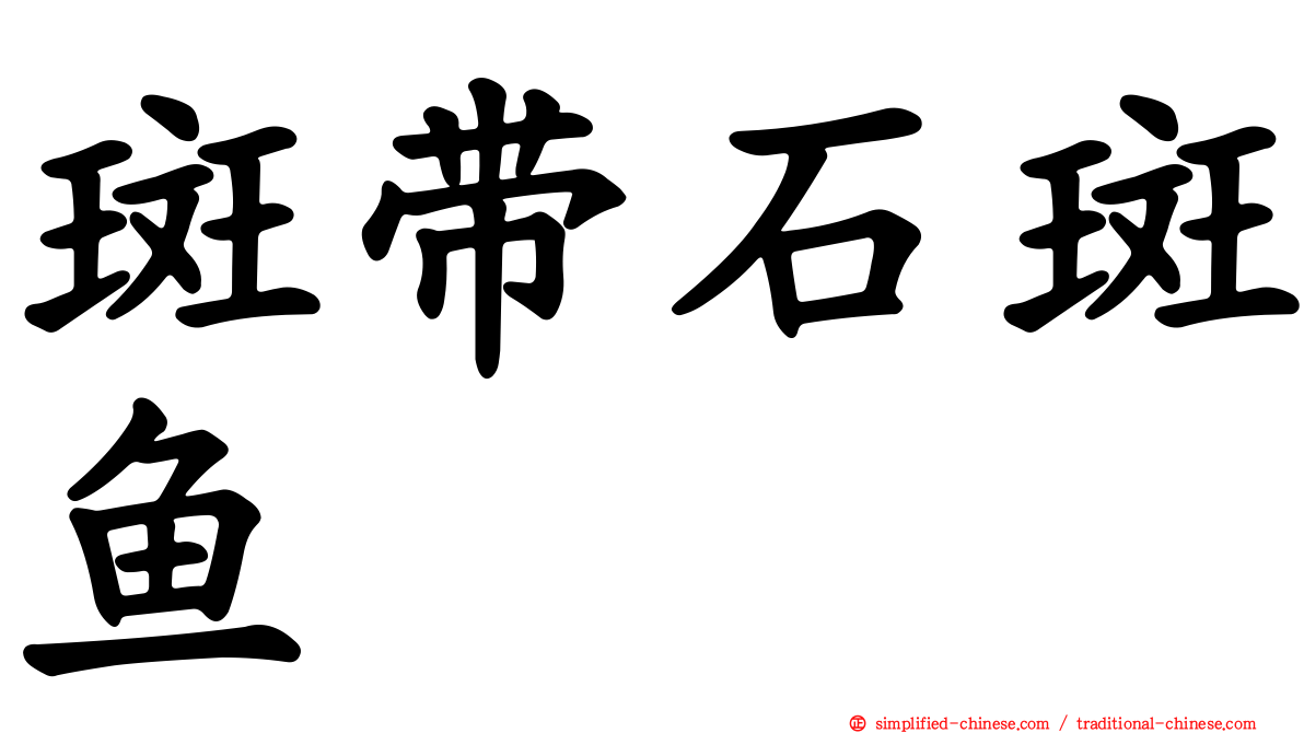 斑带石斑鱼