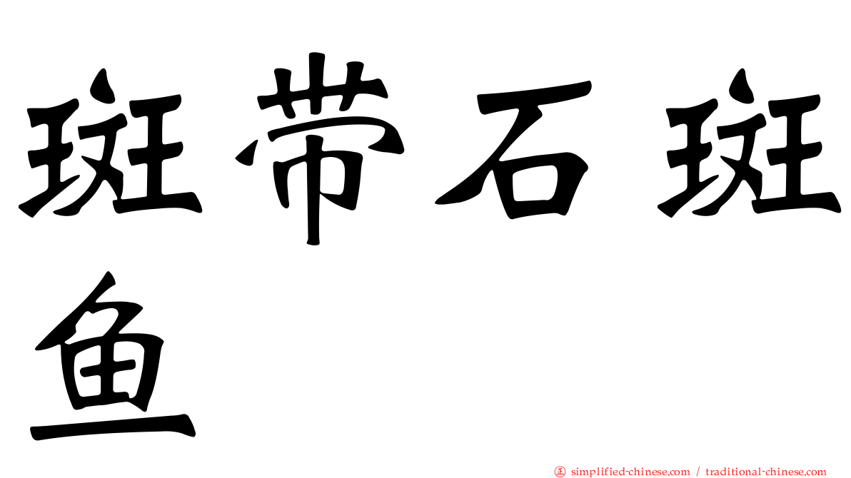 斑带石斑鱼