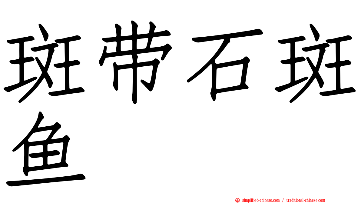 斑带石斑鱼