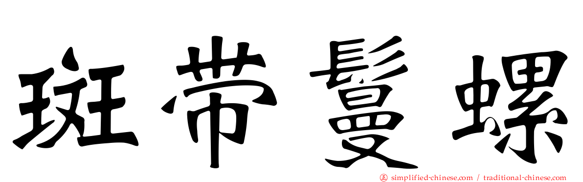 斑带鬘螺