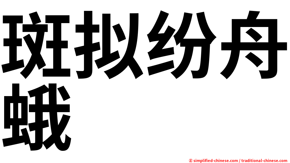 斑拟纷舟蛾