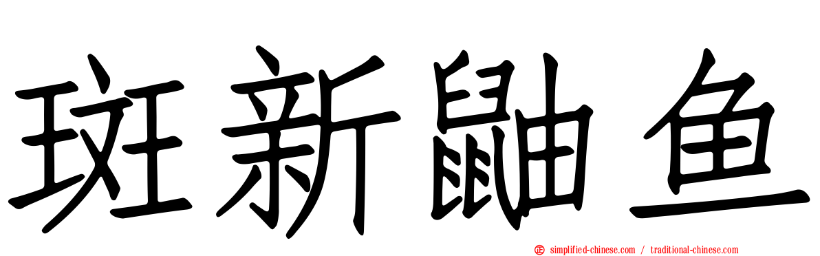 斑新鼬鱼