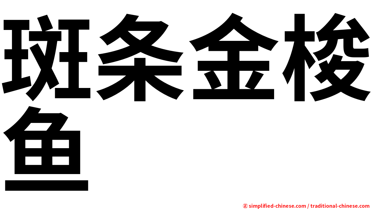 斑条金梭鱼
