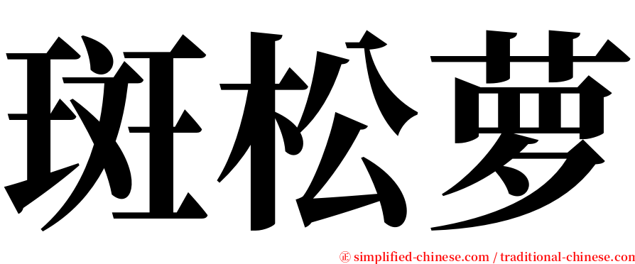 斑松萝 serif font