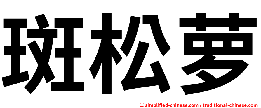 斑松萝