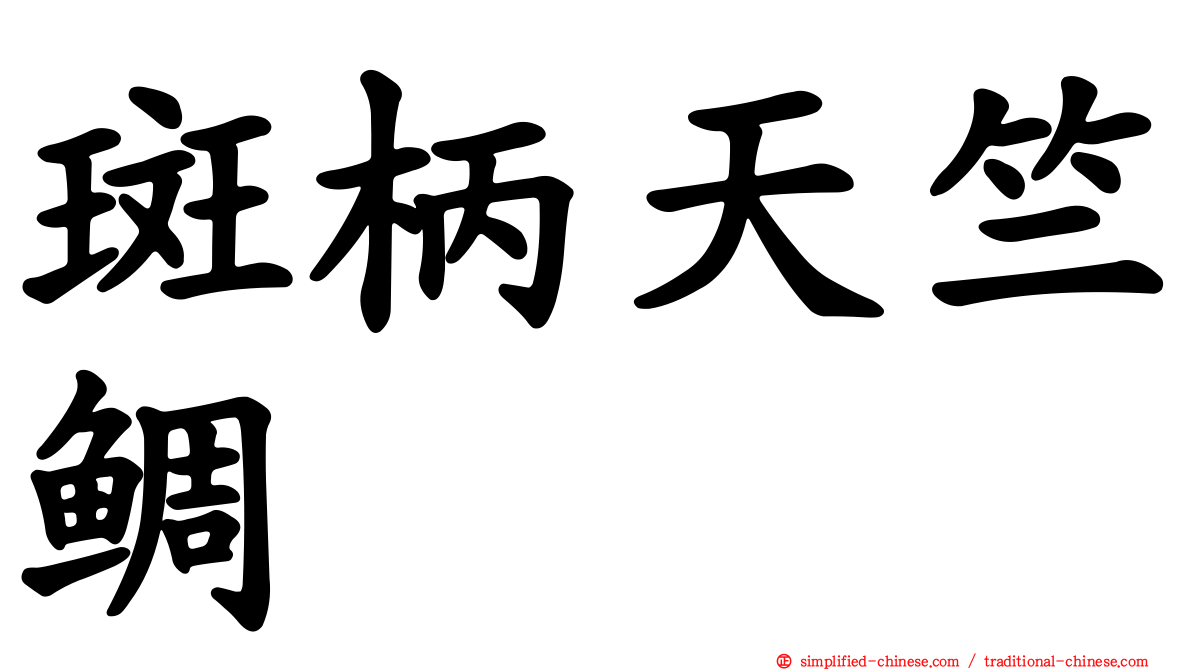 斑柄天竺鲷
