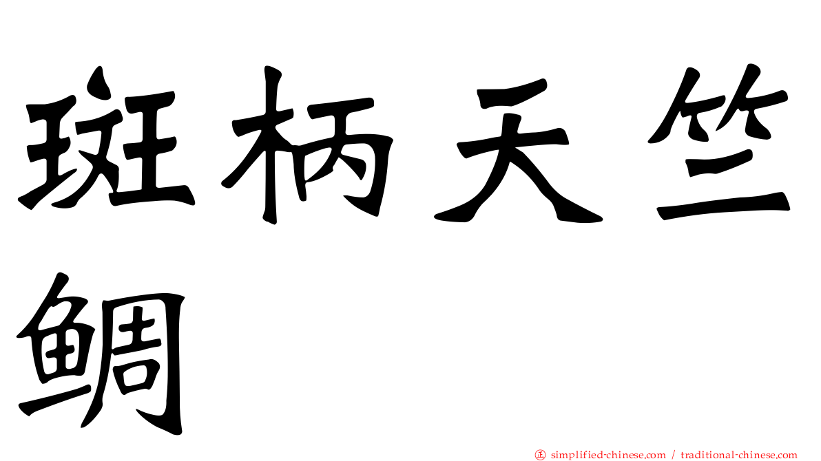 斑柄天竺鲷