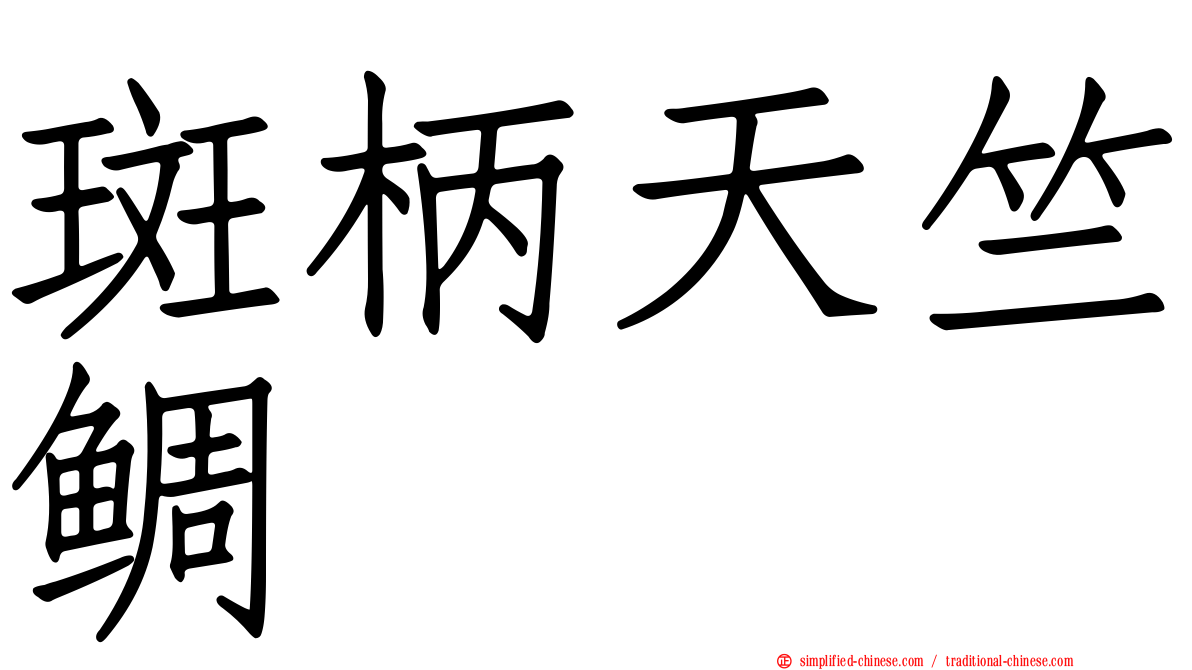 斑柄天竺鲷