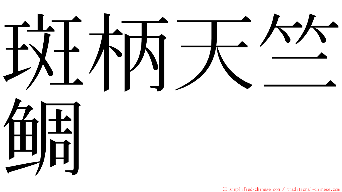 斑柄天竺鲷 ming font