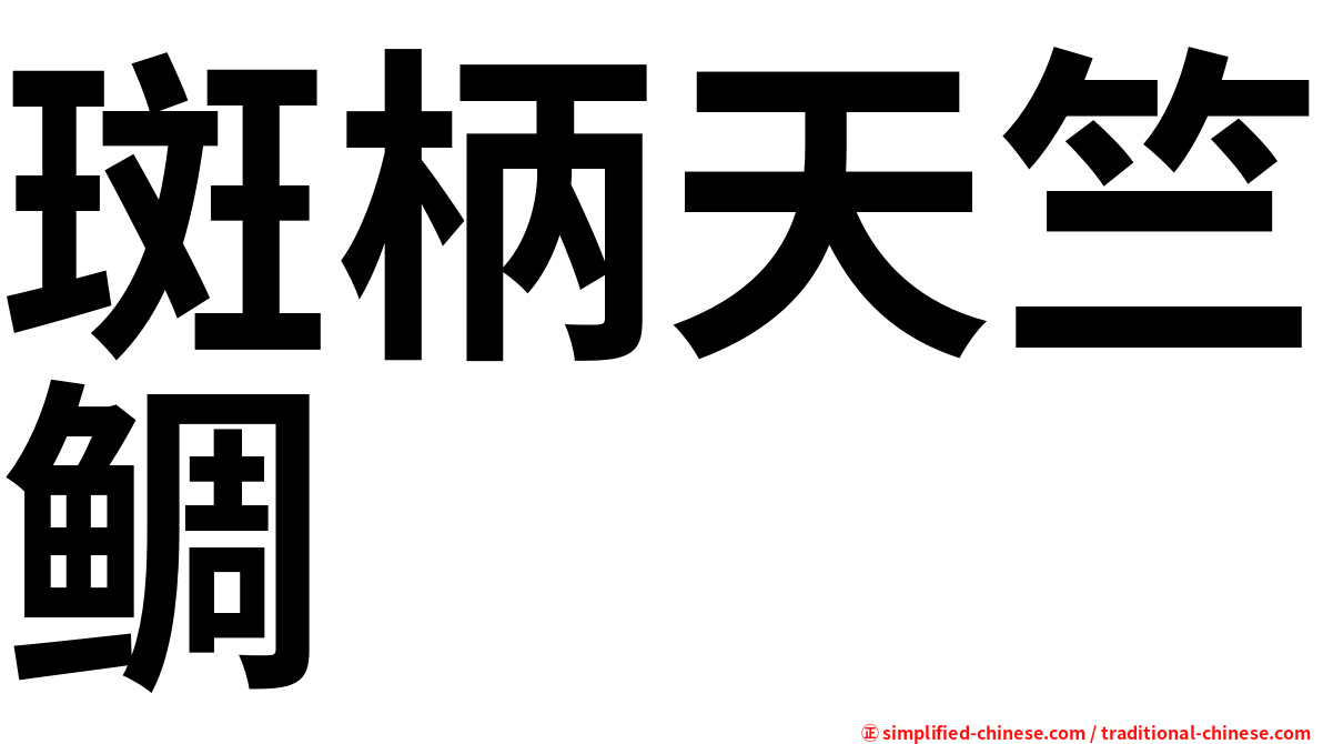 斑柄天竺鲷