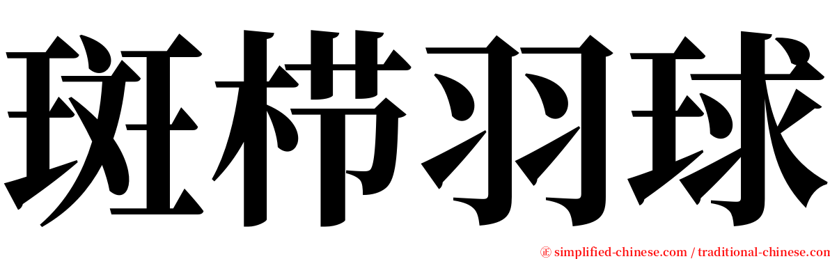 斑栉羽球 serif font