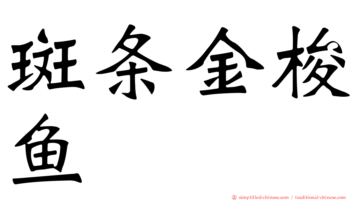 斑条金梭鱼