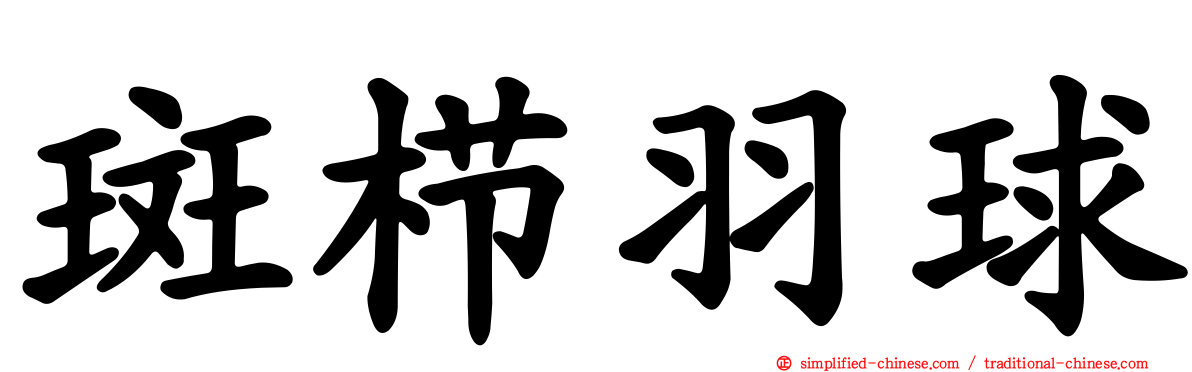 斑栉羽球