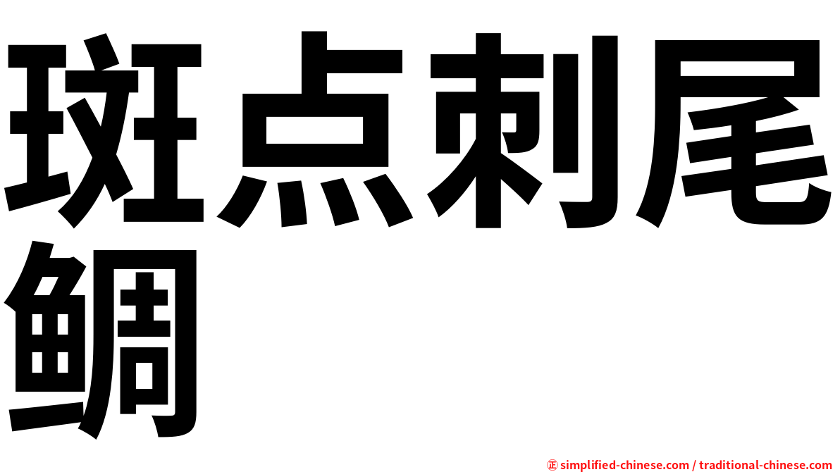 斑点刺尾鲷