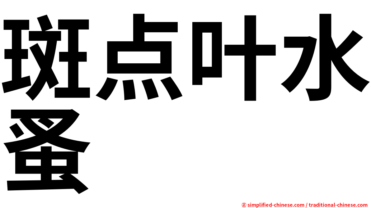斑点叶水蚤