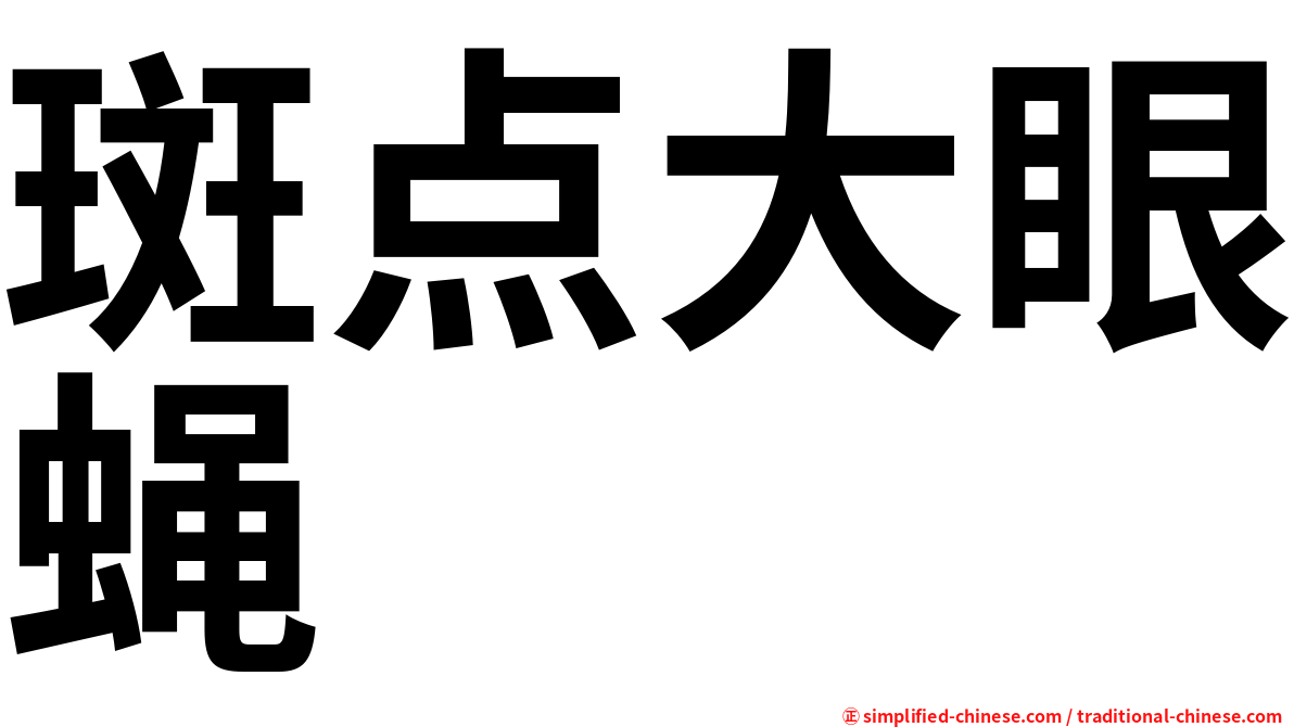 斑点大眼蝇